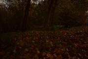 DSC_0196.JPG